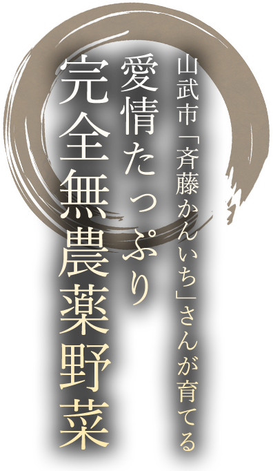 山武市