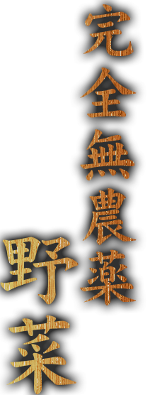 山武市