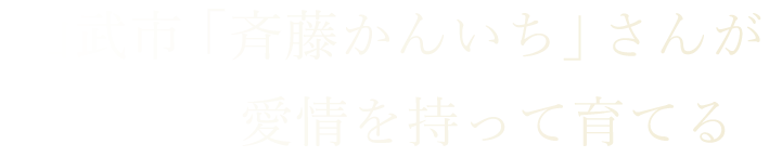 完全無農薬野菜