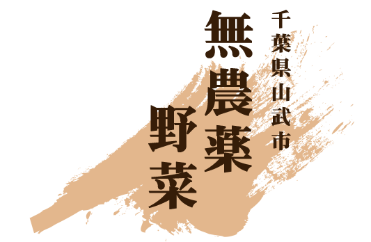 山武市