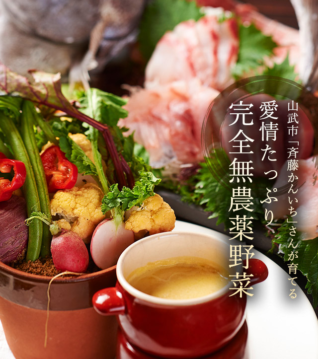 愛情たっぷり完全無農薬野菜