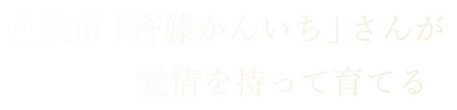 愛情を持って育てる