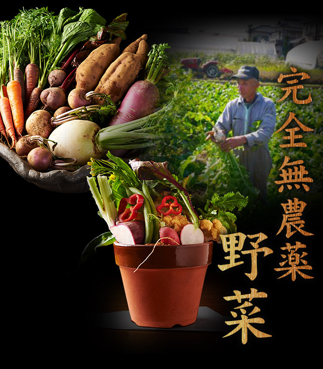 完全無農薬野菜
