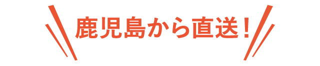 鹿児島から直送！