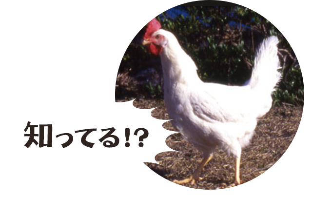 知ってる
