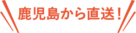 鹿児島から直送！